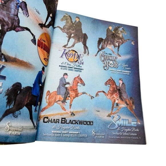 The Walking Horse Report -July 31, 2023 Red Carpet Show of the South Grand Champ - Picture 6 of 6